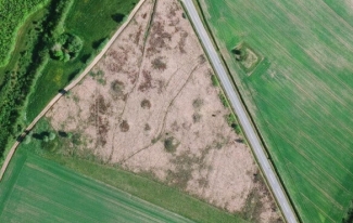 Guldager Gravhøje