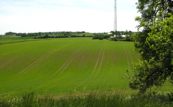 2: Udsigt fra Sneglehøj mod syd.