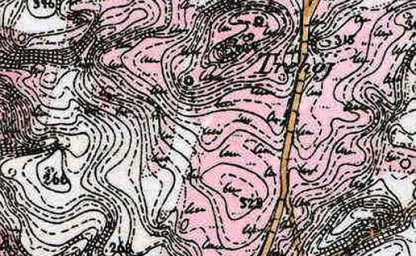 10: Udsnit af kort fra 1800-tallet viser de store lyngarealer omkring Trehøje.