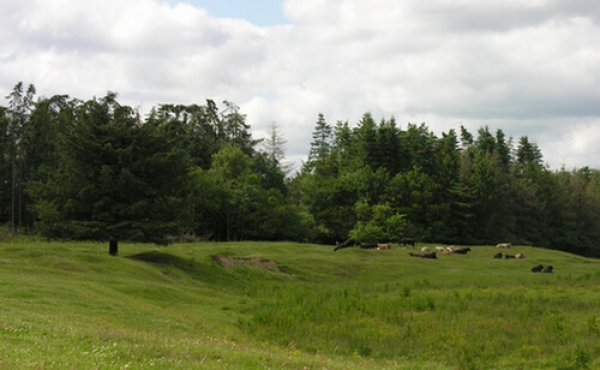 Vestdelen af Kong Knaps dige ligger i græsgangen syd for åen, vest for Hærvejen.