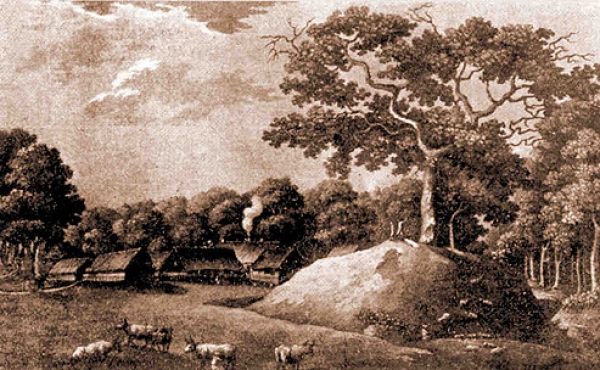 Nørreris Voldsted med Niels Ebbesens eg på et kobberstik fra 1811.