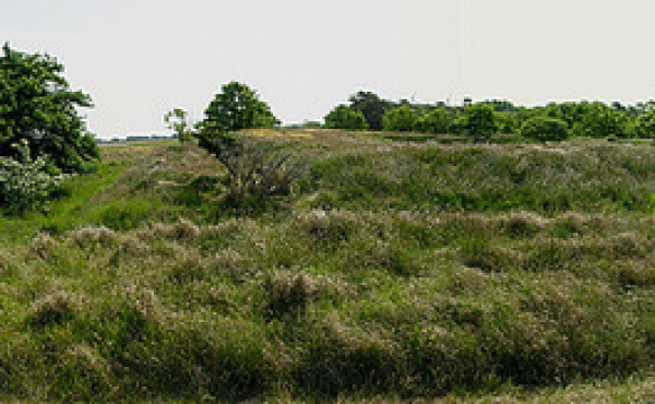 Panorama over skansen set fra vest.