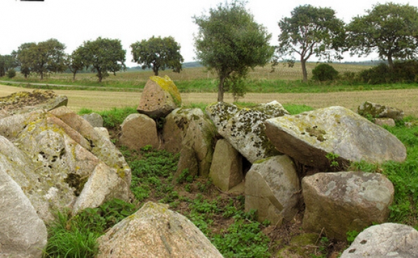 Det åbne gravkammer set fra sydvest.