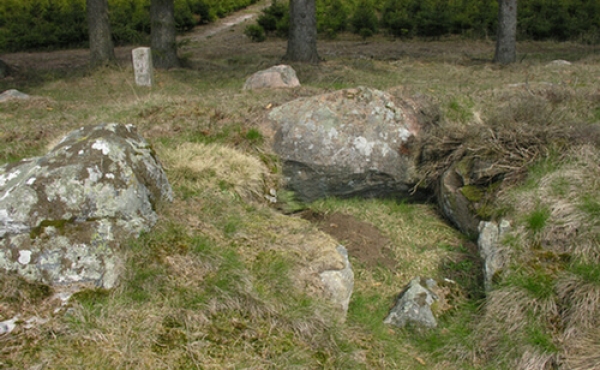 Stensbjerggaard-langdysse-07
