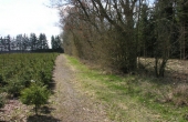 Stensbjerggaard-langdysse-02