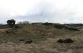Stensbjerggaard-langdysse-10
