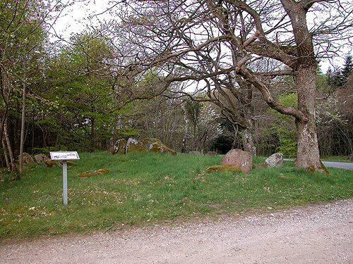 Klemstrup Skov dysser 02