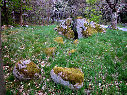 Klemstrup Skov dysser 04