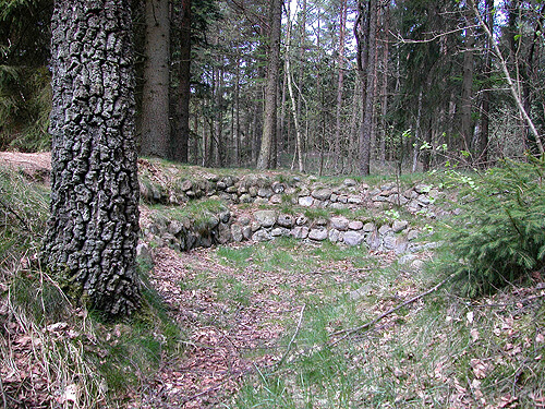 Taastrup Plantage 09