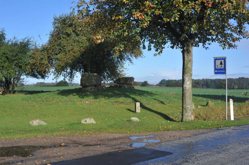 Vielsted langdysse 03