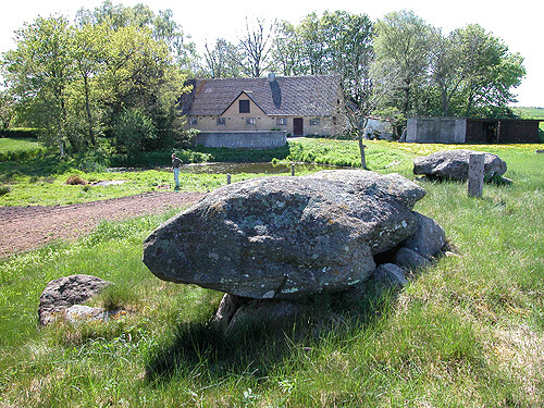 dystrup Soe dysser 04