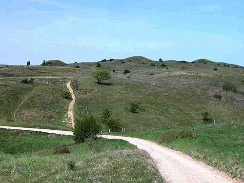 Trehoje gravplads 01