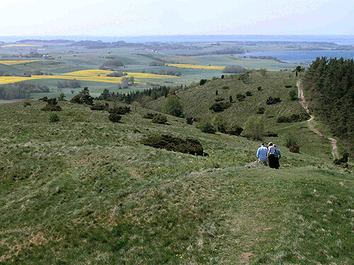 Trehoje gravplads 04