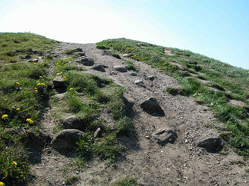 Trehoje gravplads 08